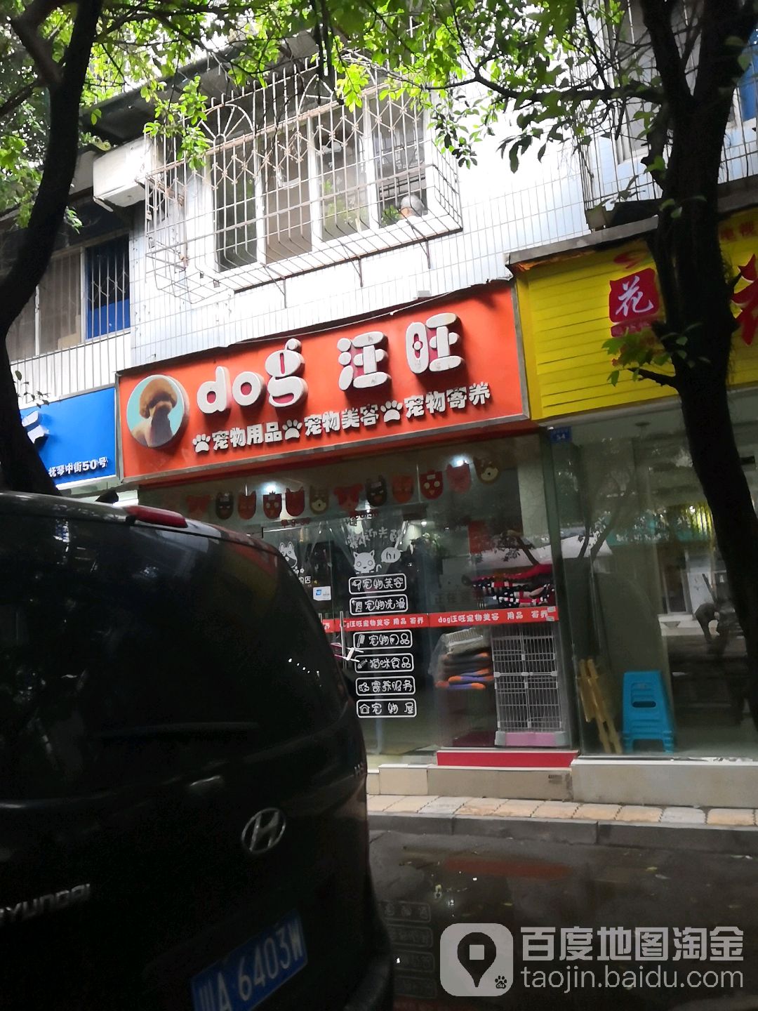 dog汪旺