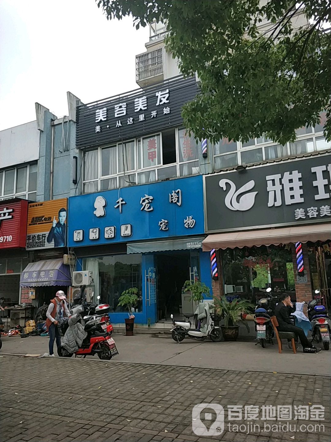 千宠阁宠物