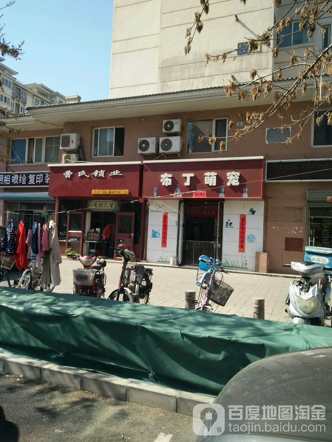 布丁萌宠