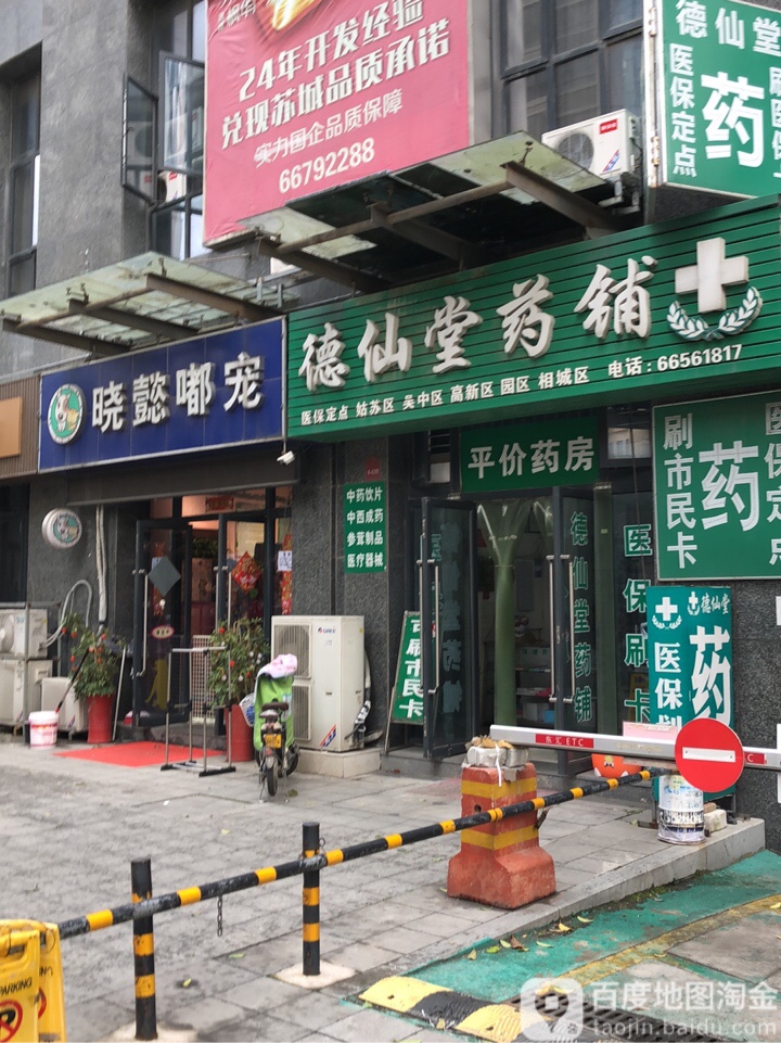 晓懿嘟宠