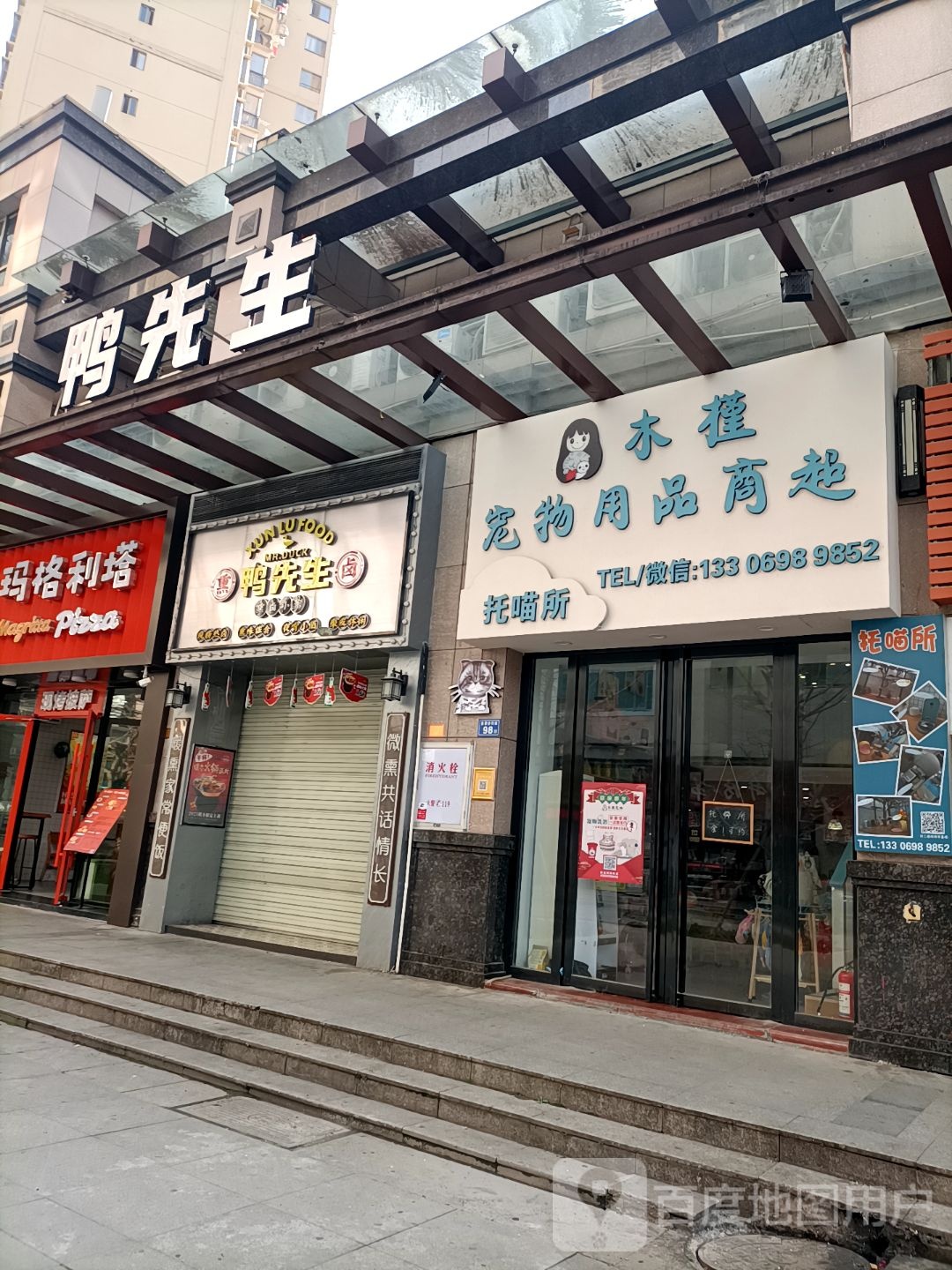 木槿宠物