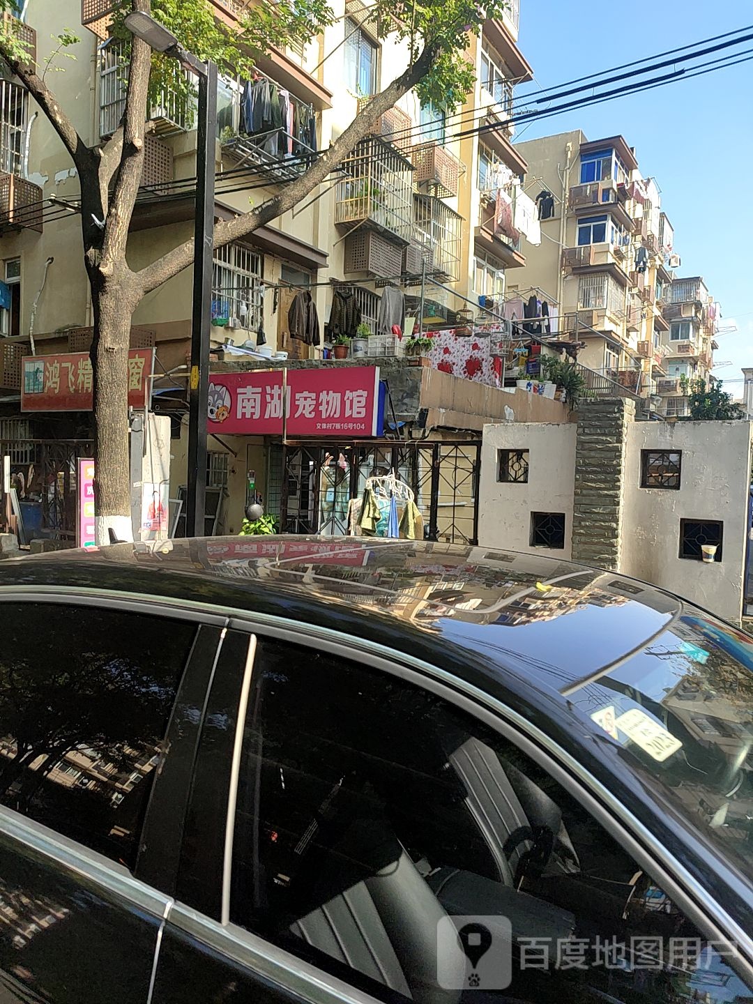 南湖宠物馆