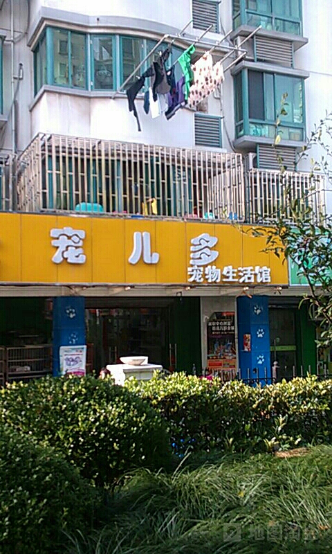 宠儿多