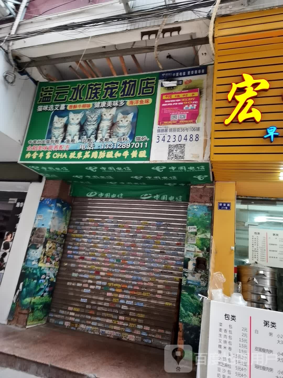 溢云水族宠物店