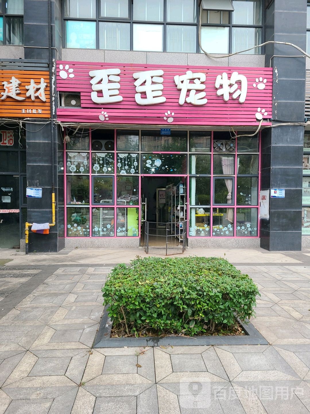 歪歪宠物