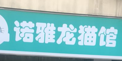 诺雅龙猫馆