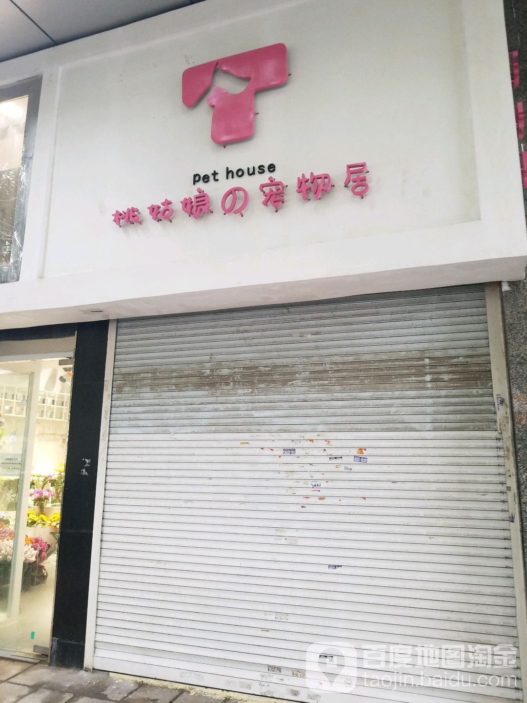 桃姑娘的宠物居