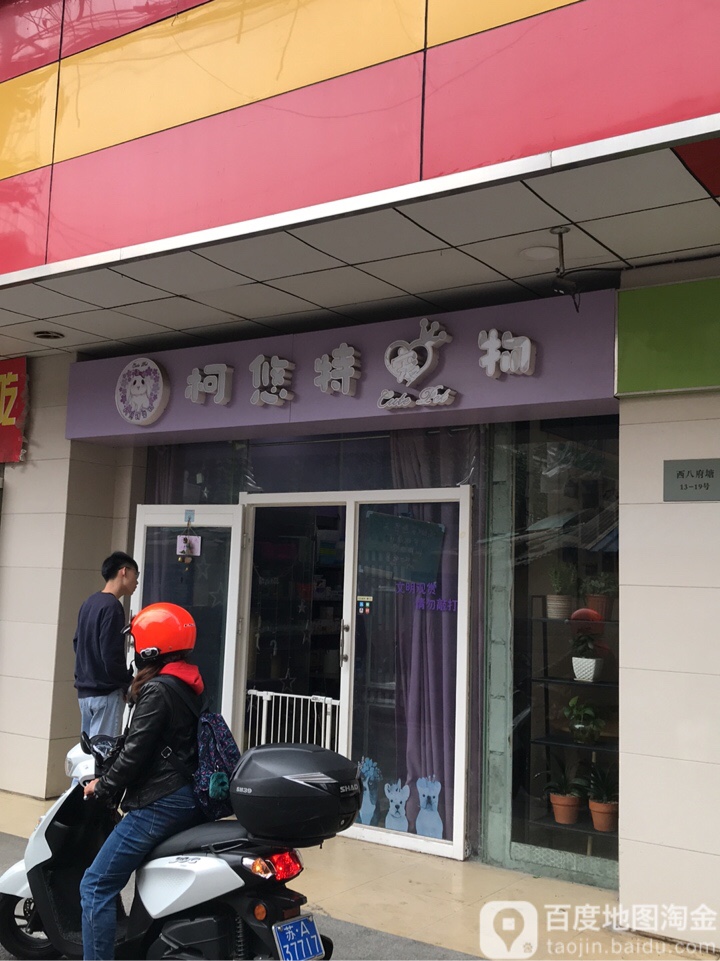 柯悠特宠物
