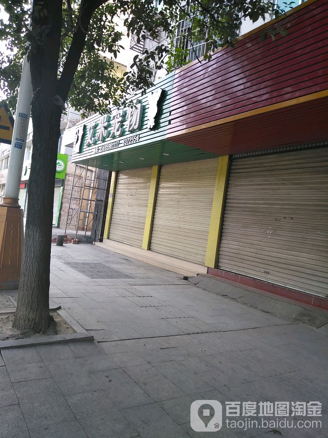 艾米宠物