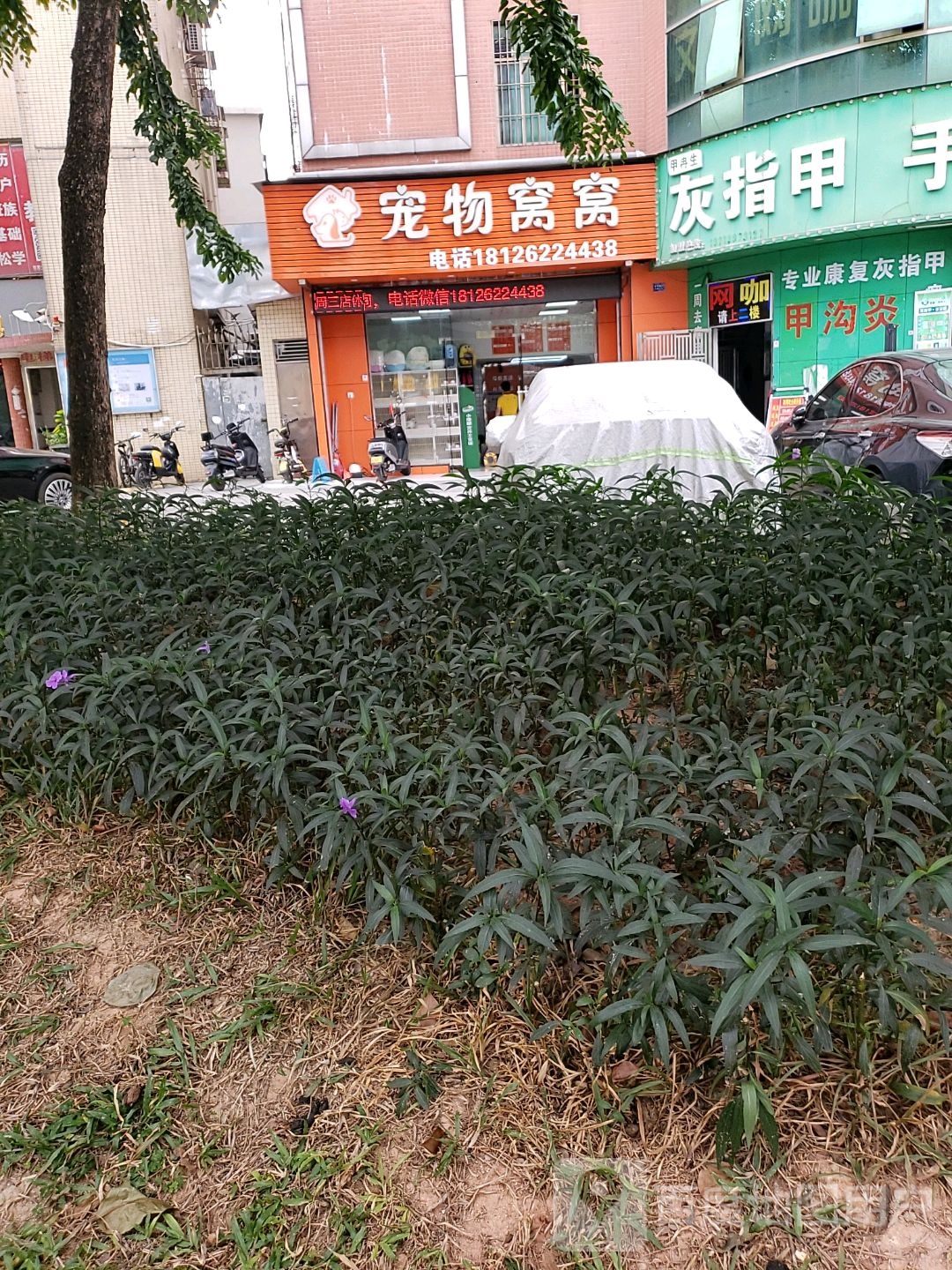 宠物窝窝
