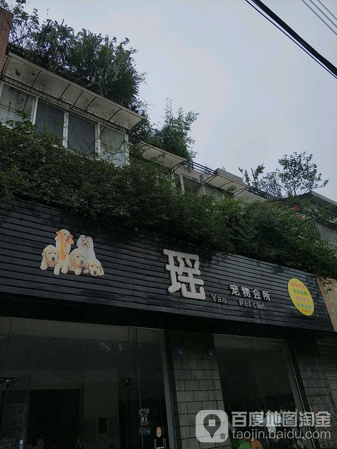 瑶宠物会所