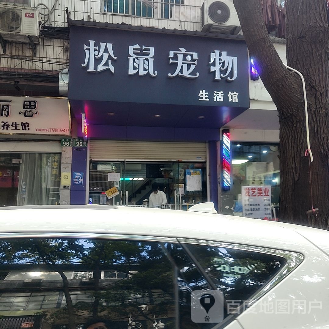 松鼠宠物生活馆