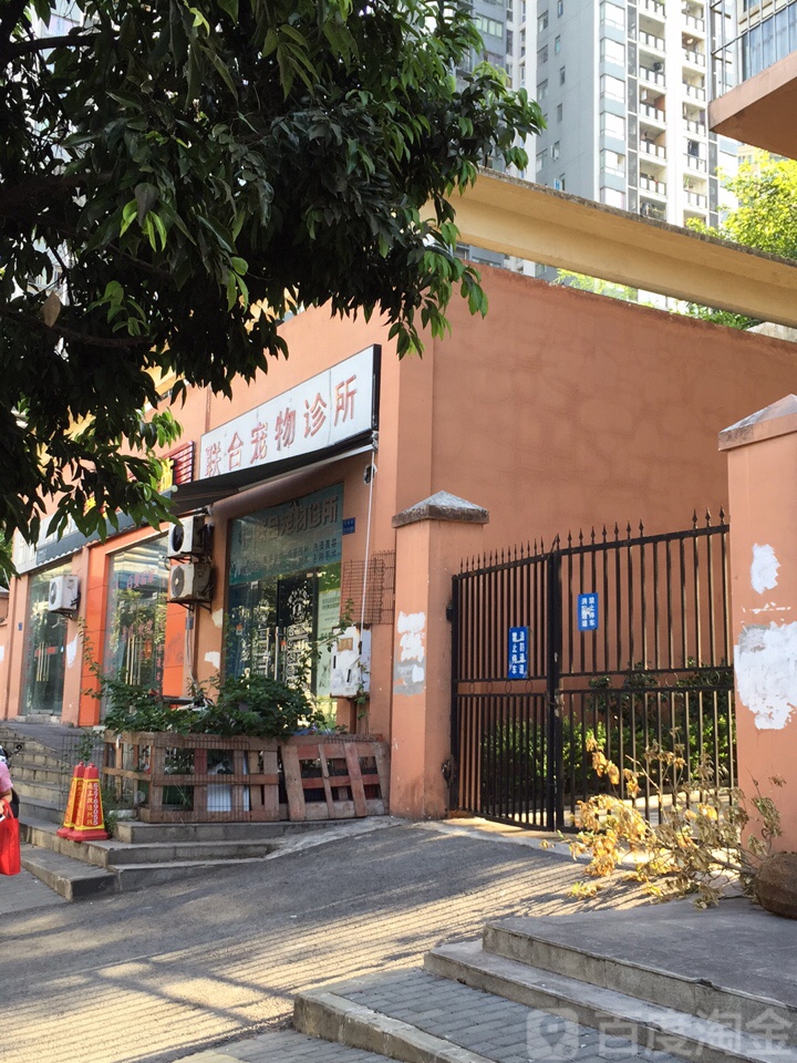 联合宠物诊所
