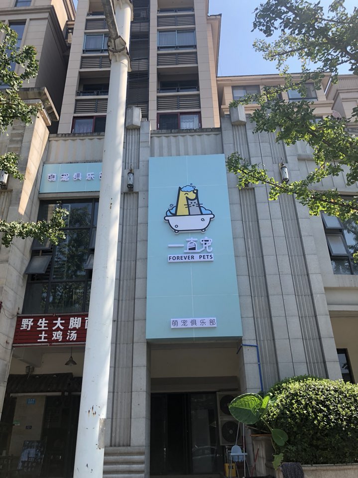 一直宠萌宠俱乐部