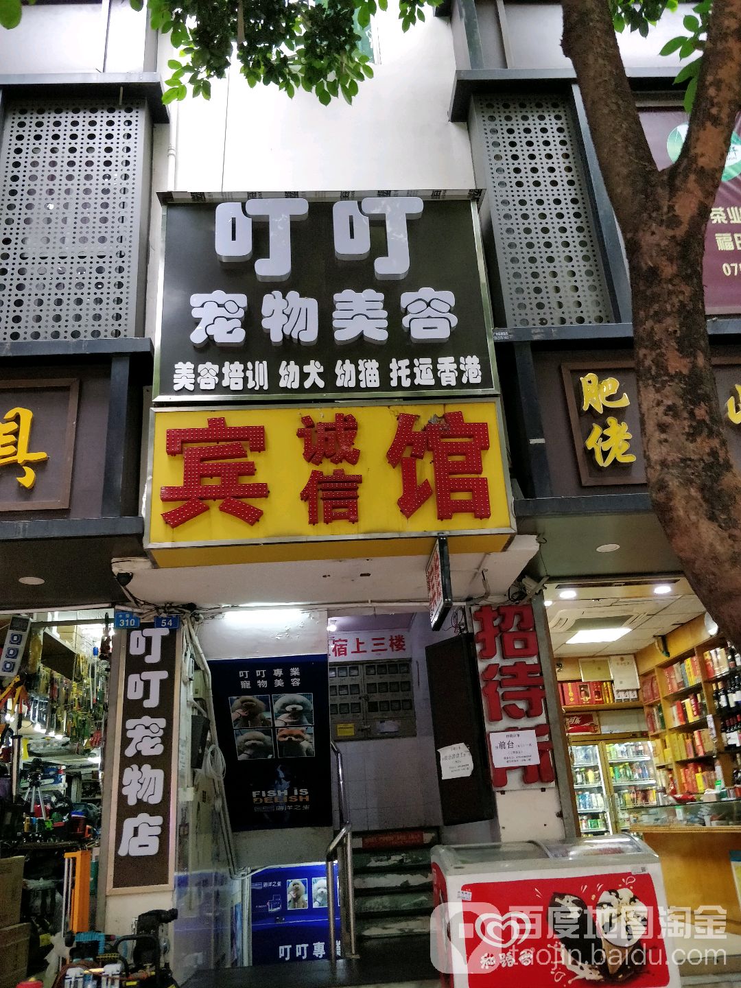 叮叮宠物店