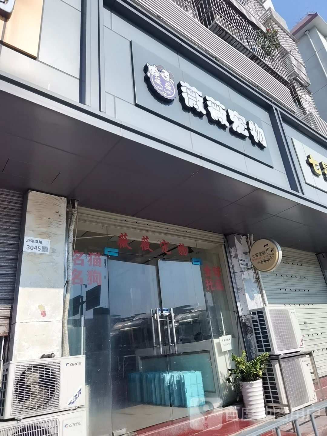薇薇宠物