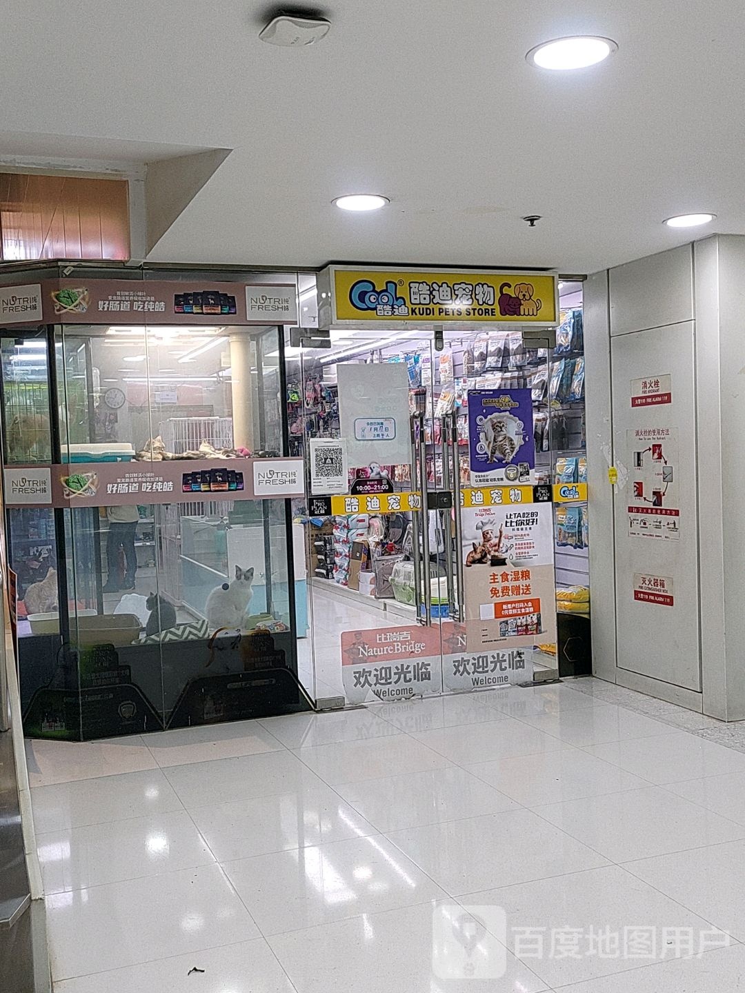 酷迪宠物(北京华联店)