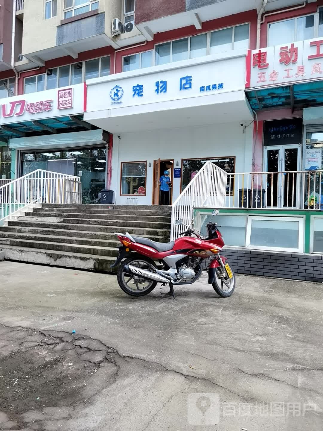 南瓜男孩·宠物