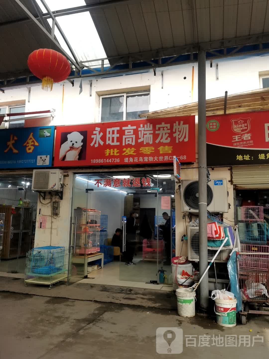 永旺高端宠物批发零售
