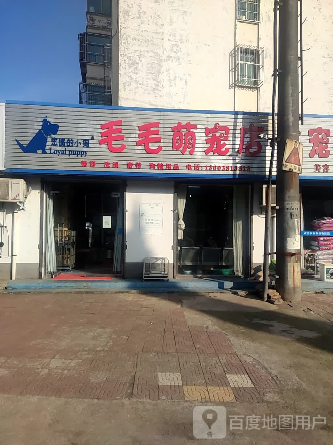 毛毛萌宠店