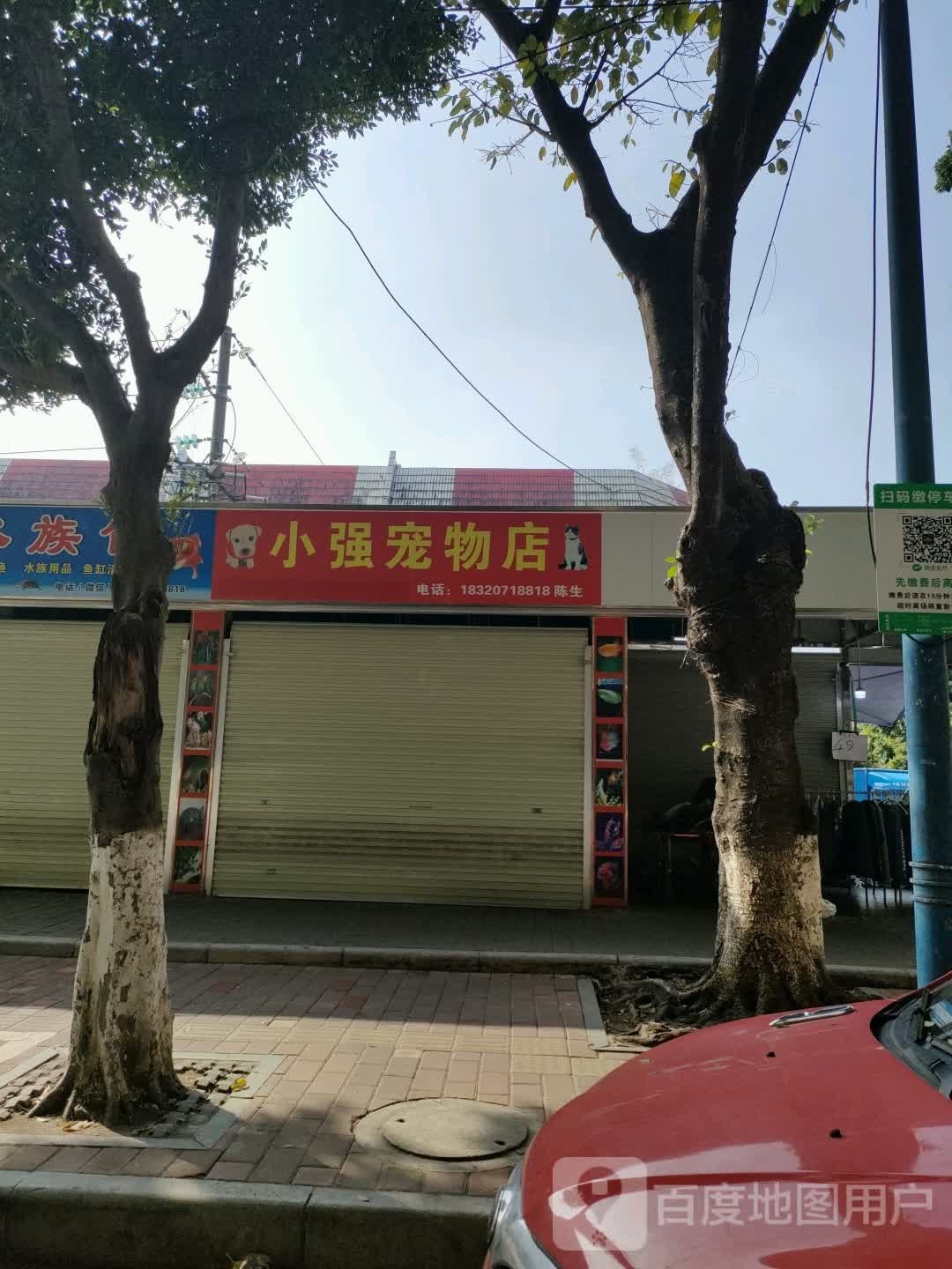 小强宠物店