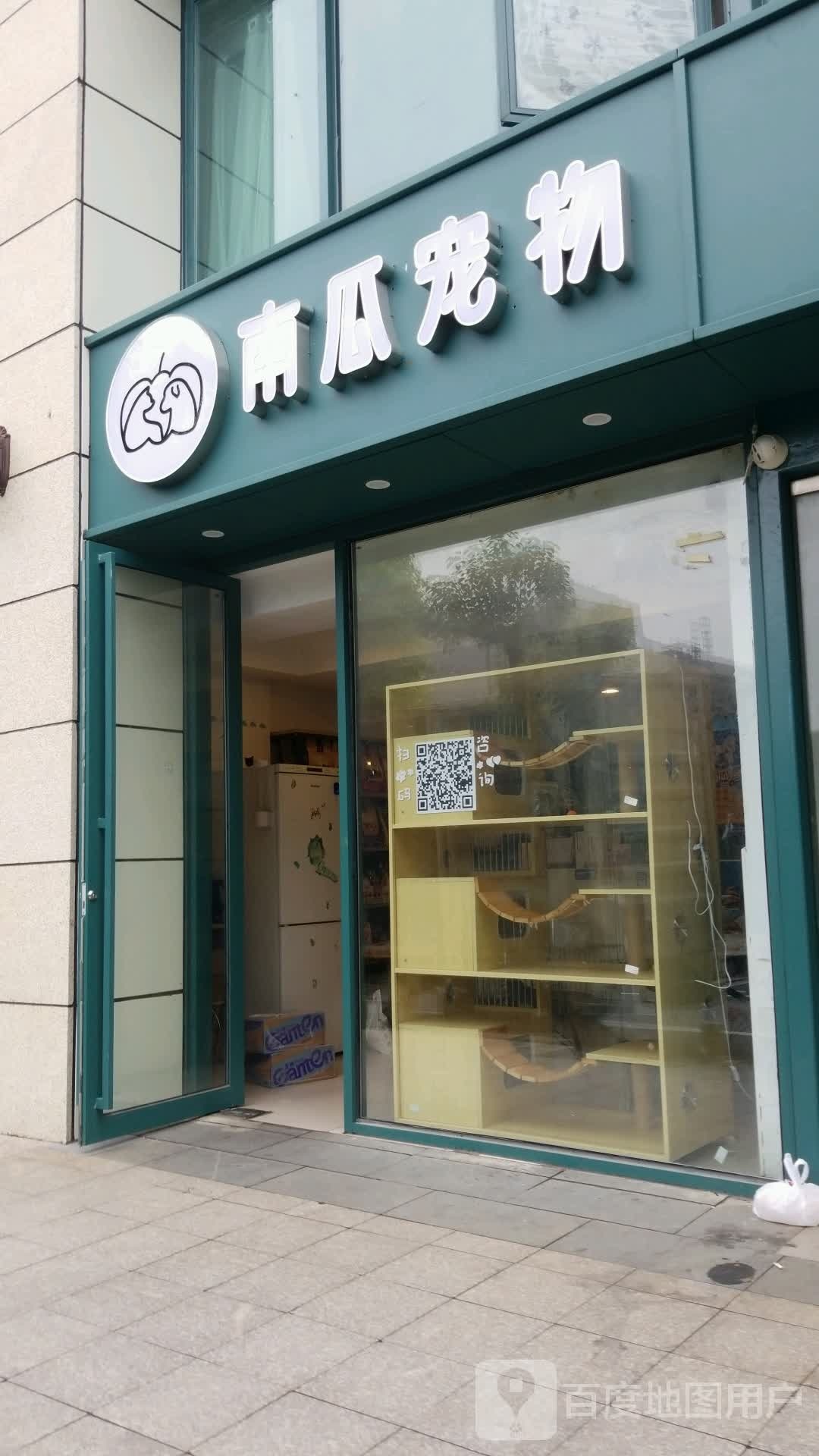 南瓜宠物