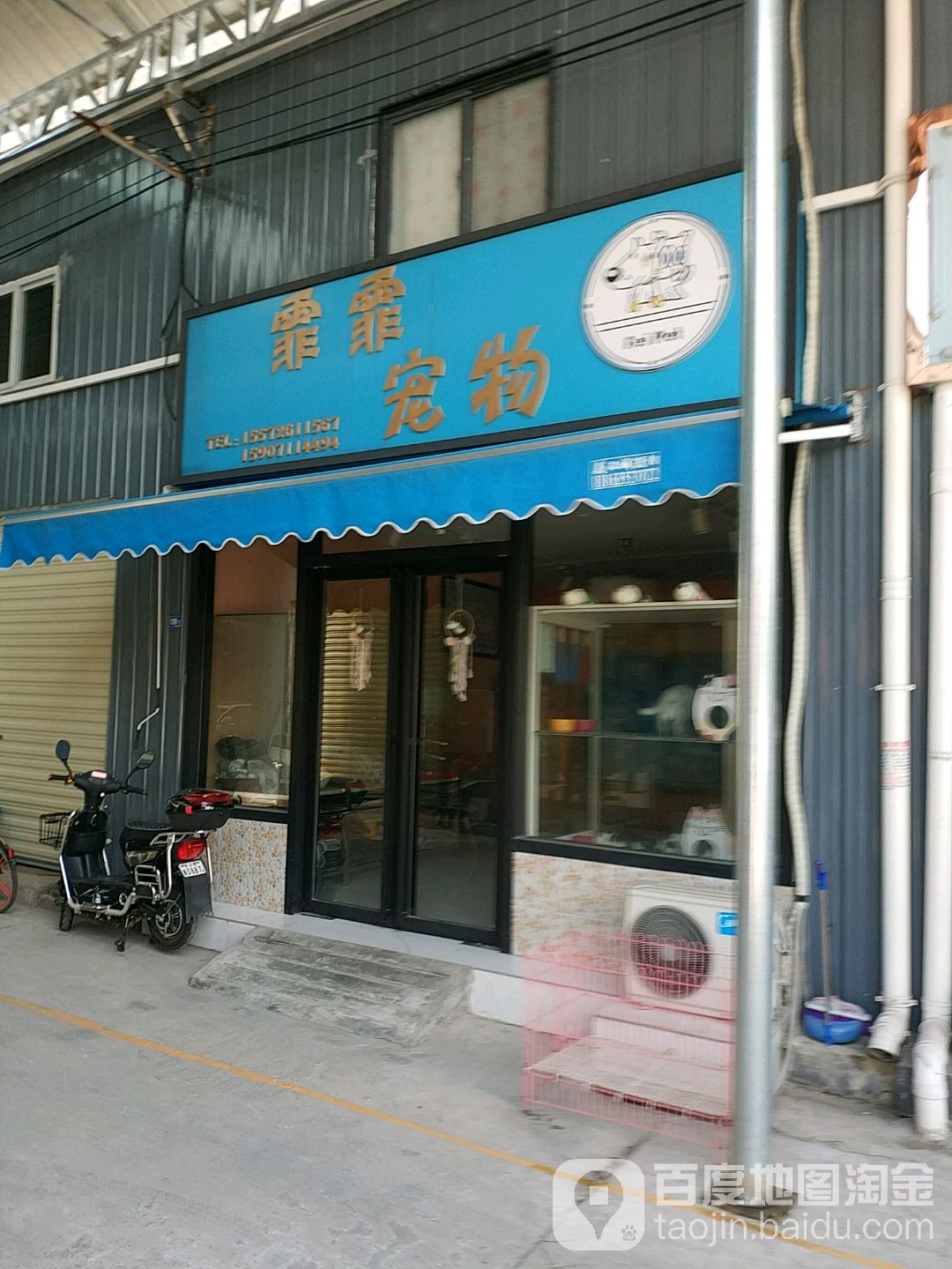 霏霏宠物