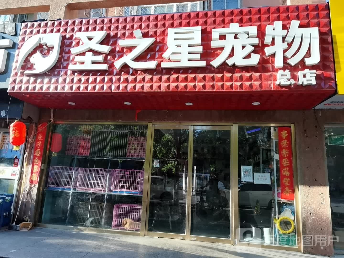 圣之星宠物(怡然家园店)
