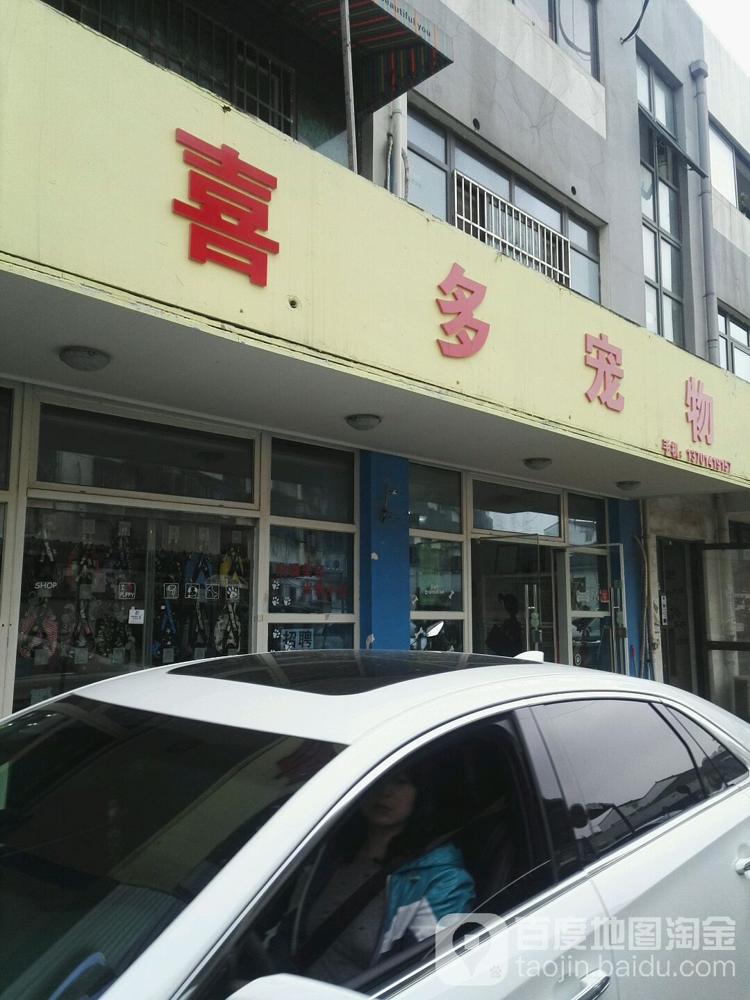 喜多宠物