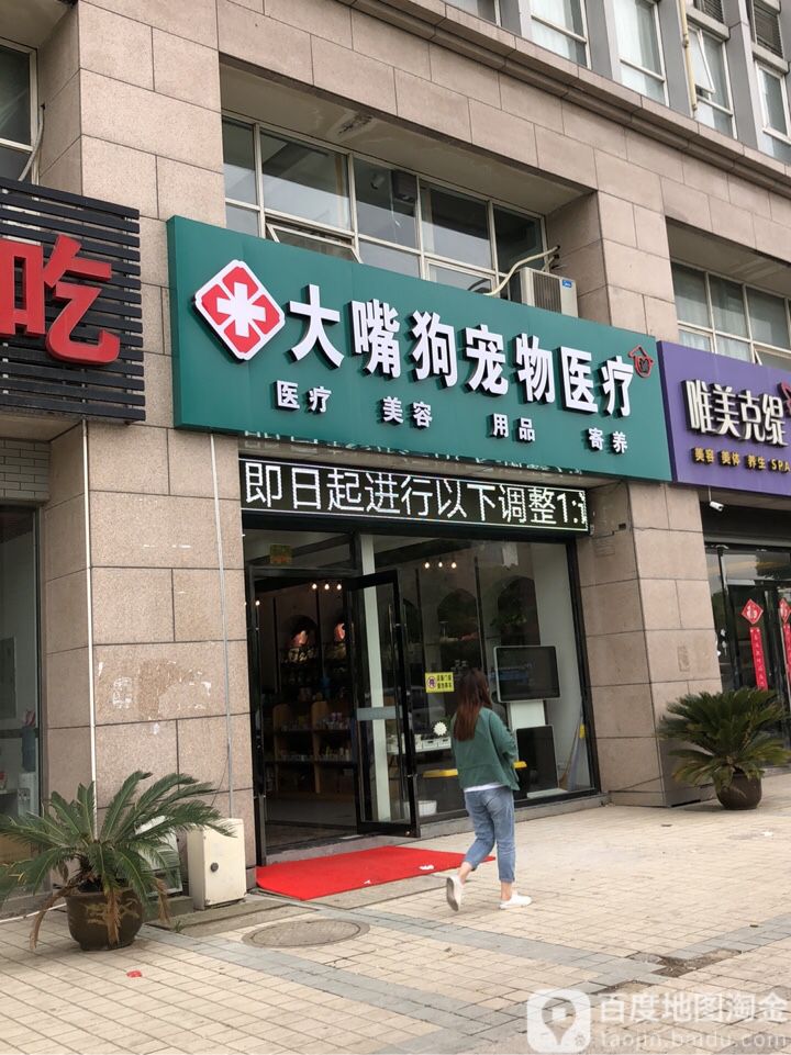 大嘴狗宠物医疗(汾湖)