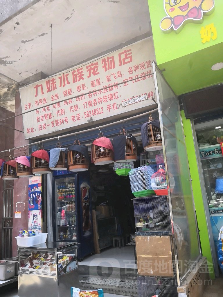 九妹水族宠物店