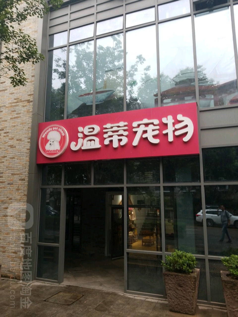 温蒂宠物