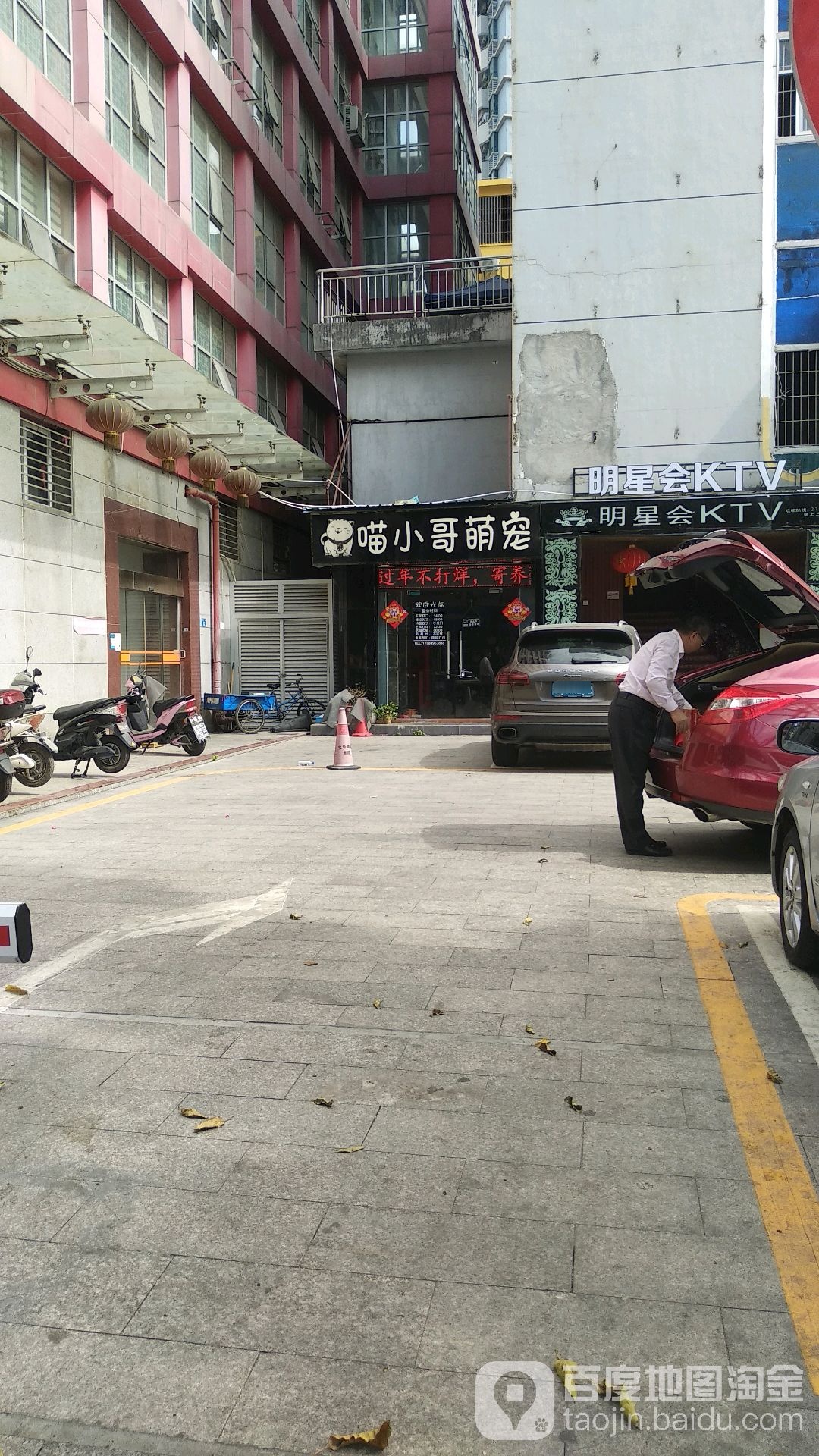 喵小哥萌宠
