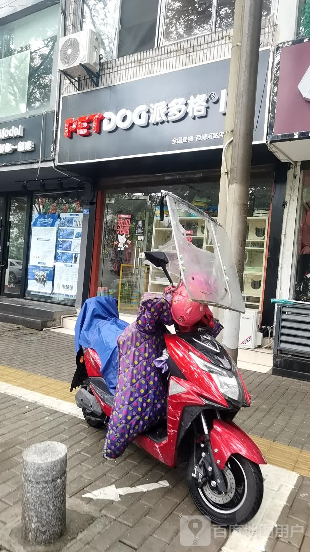 派多格宠物连锁(西塘河路店)
