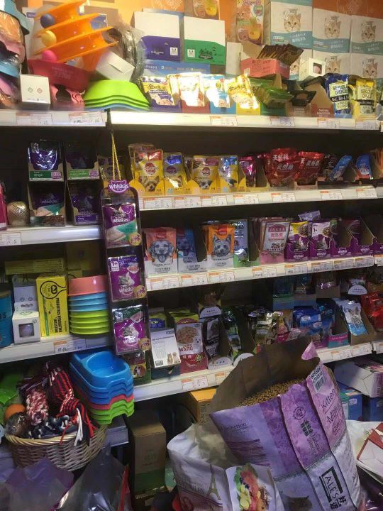 大伟宠物批发猫狗粮店