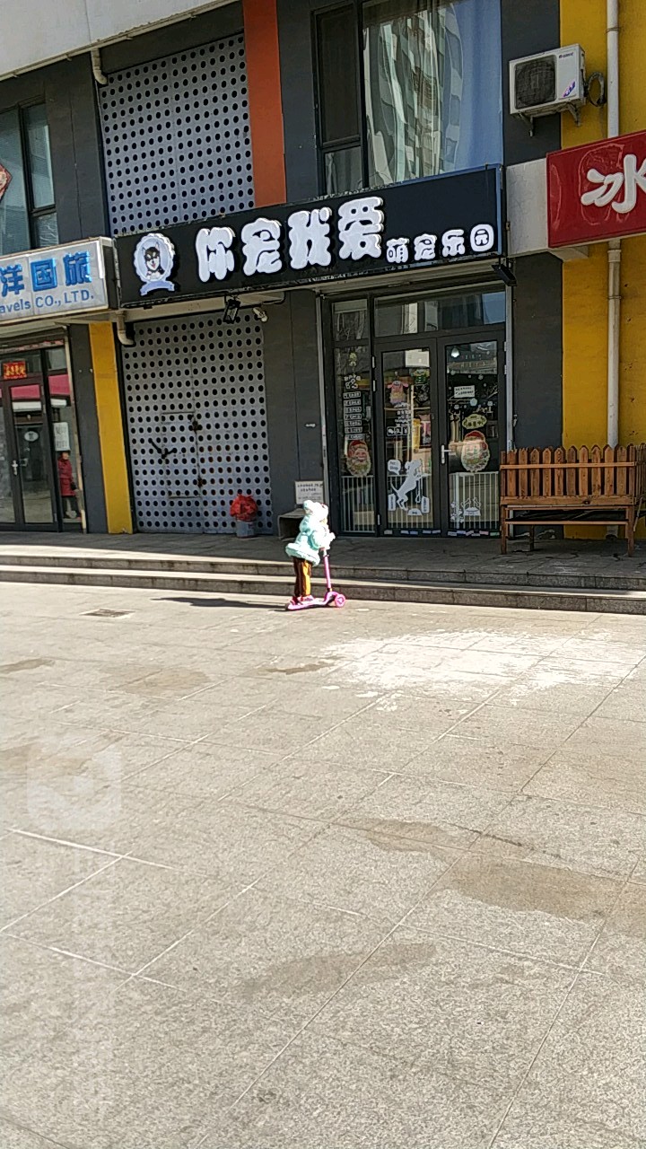你宠我爱萌宠乐园