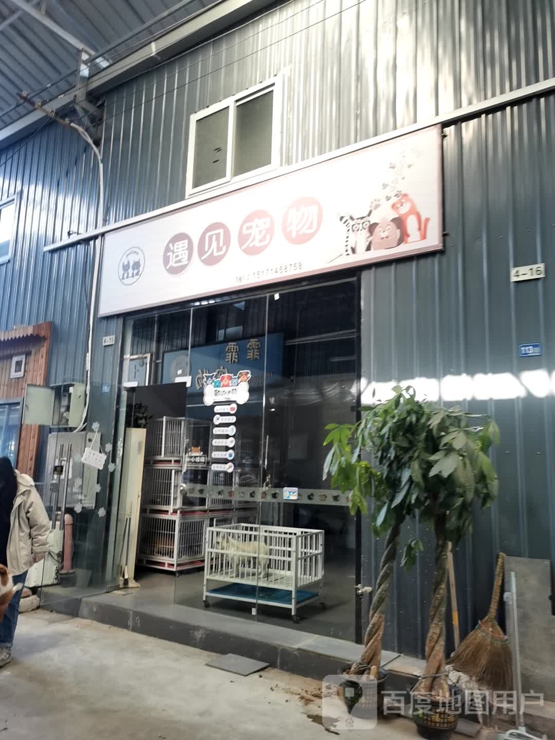 遇见宠物