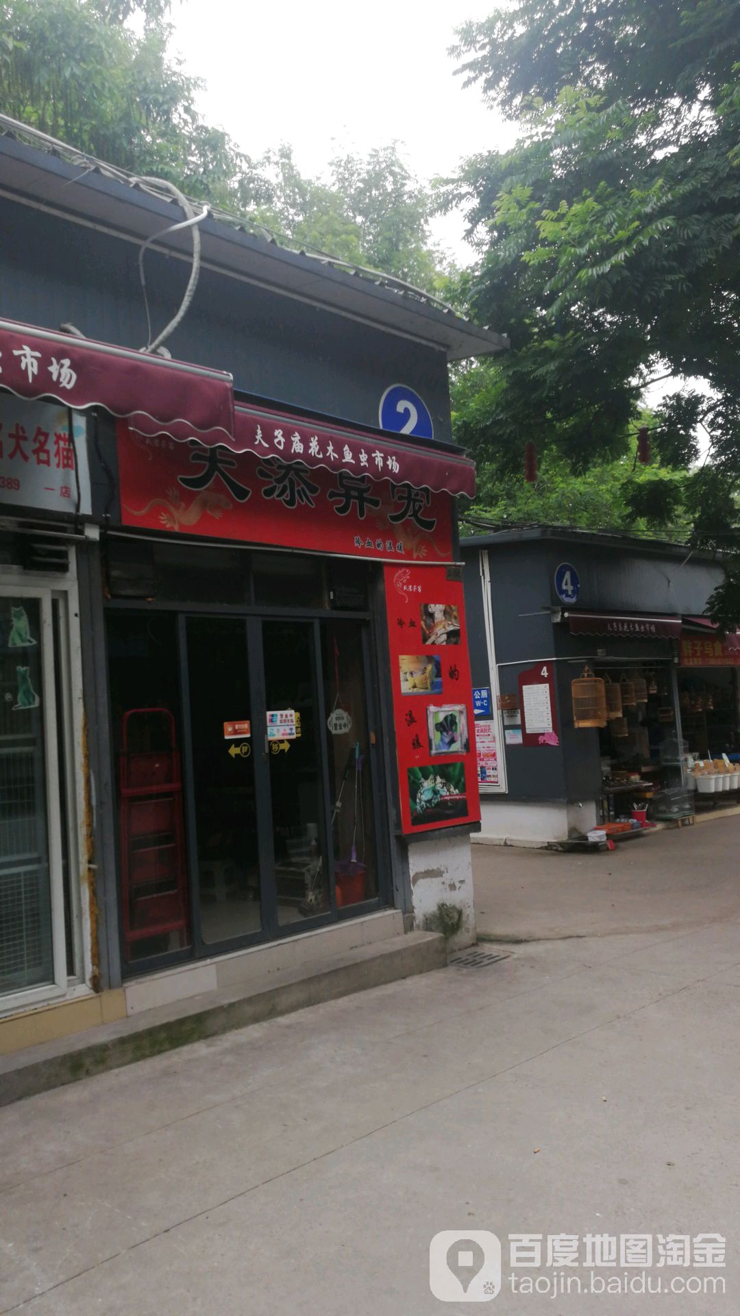 天添异宠(七桥瓮店)
