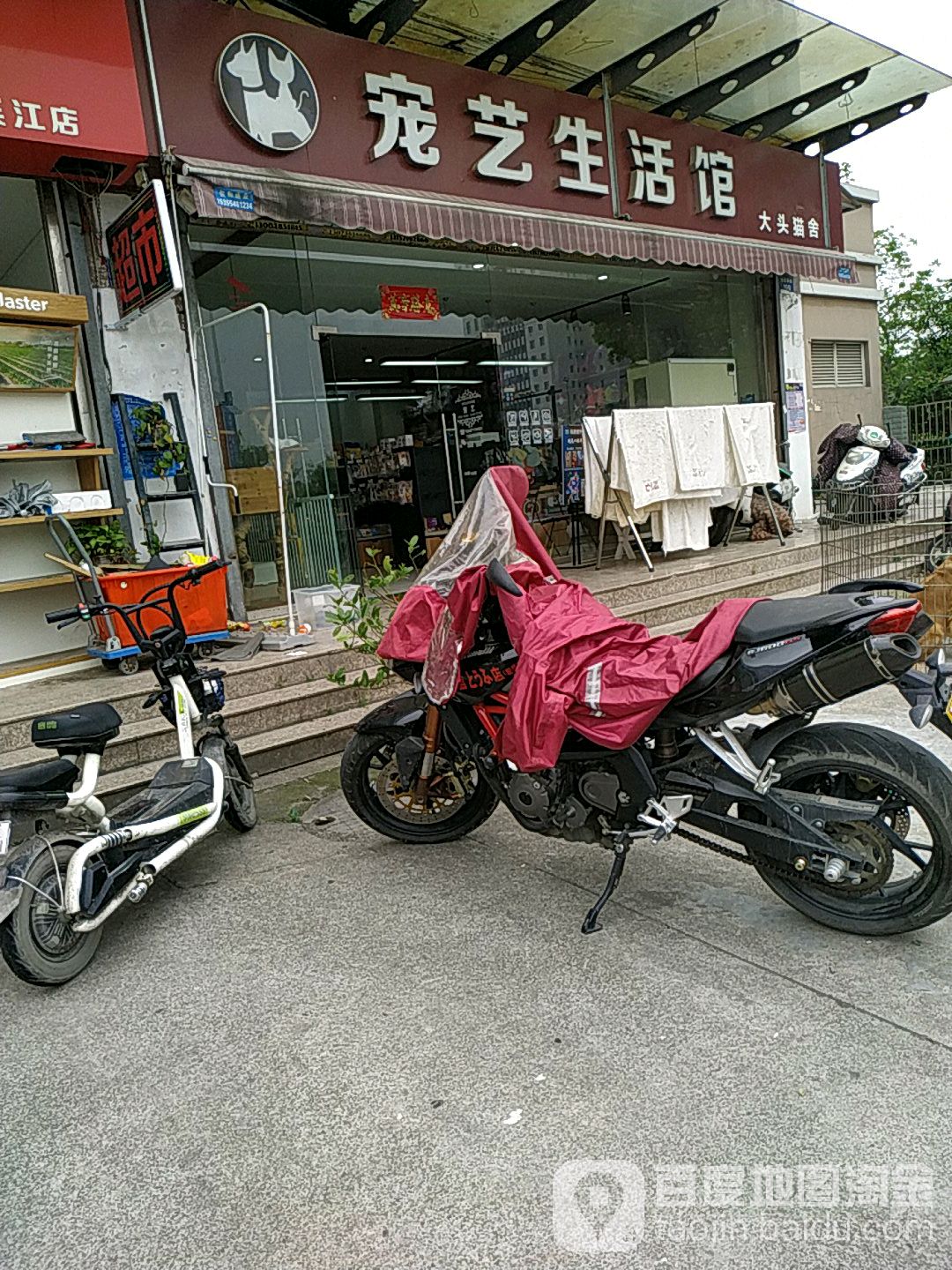 宠艺生活馆(大头猫舍)