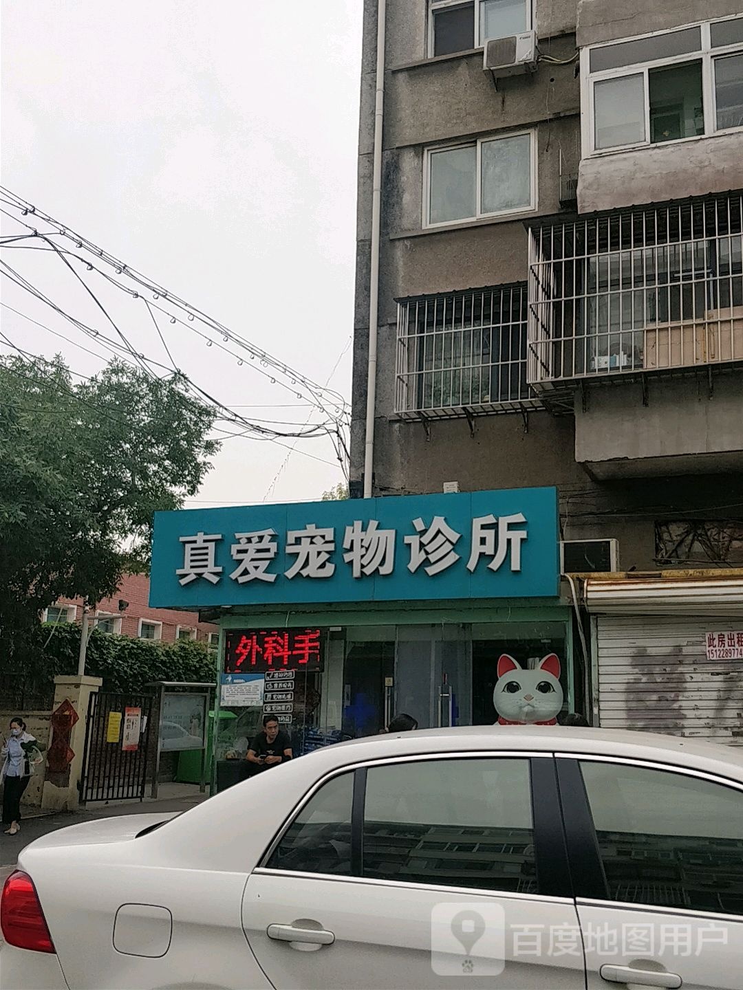 真爱宠物诊所