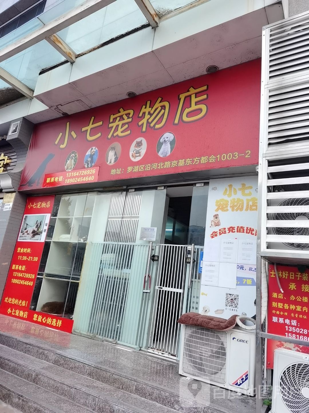 小七宠物店