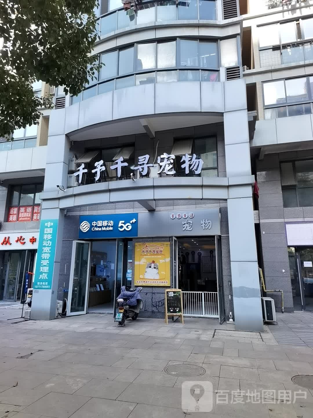 千予千寻宠物