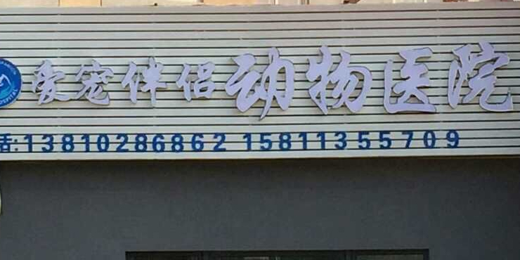 爱宠伴侣动物医院