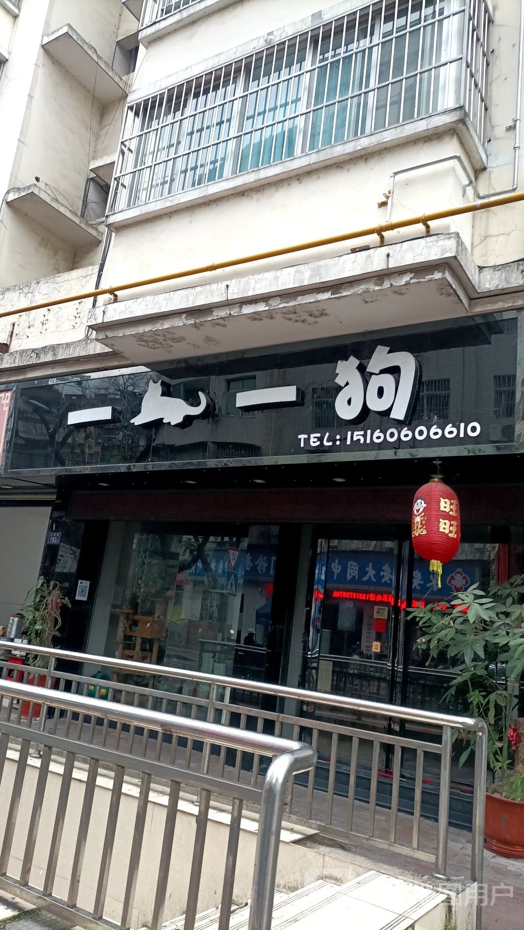 一猫一狗