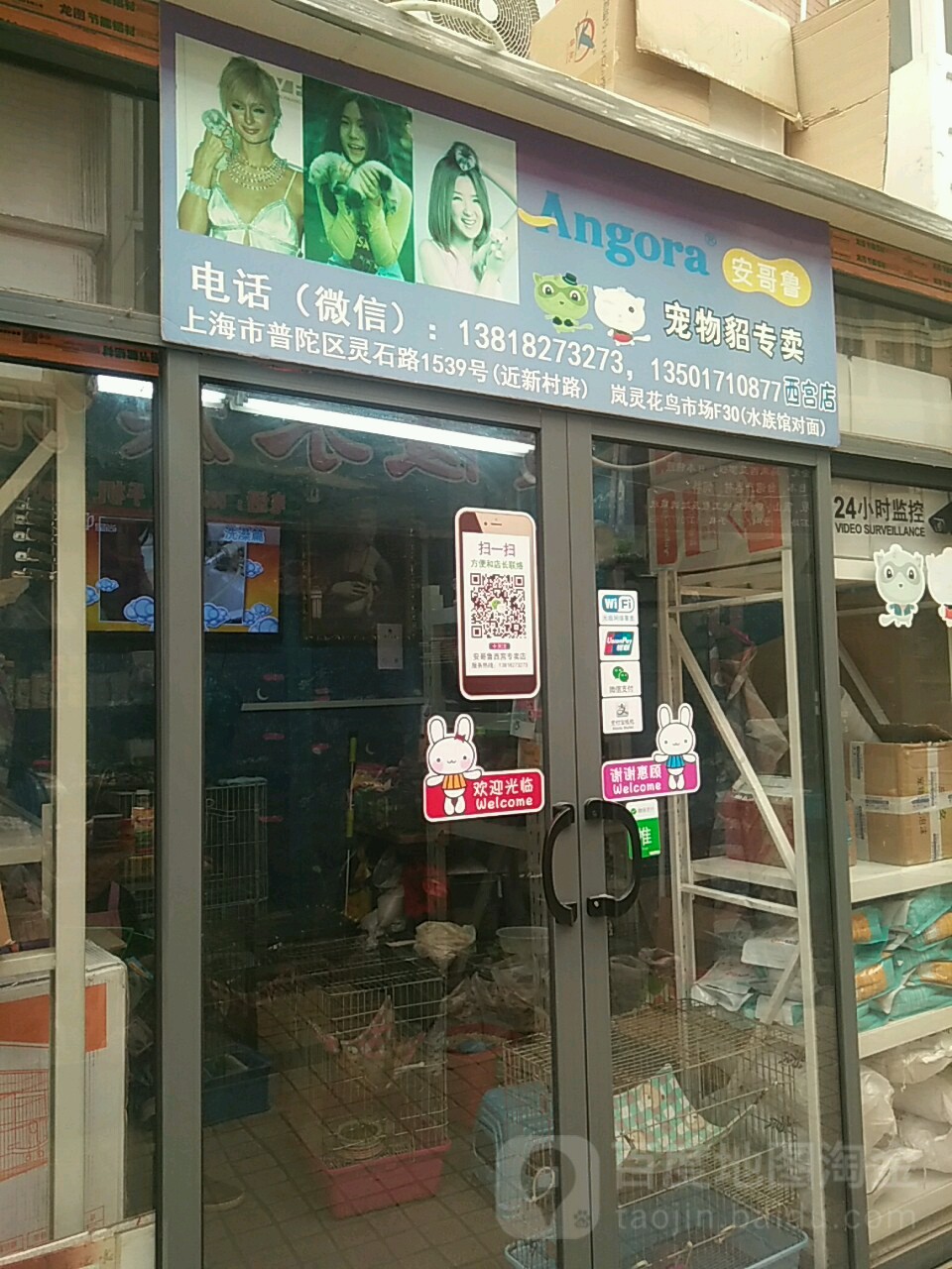 安哥鲁宠物貂专卖店(西宫店)
