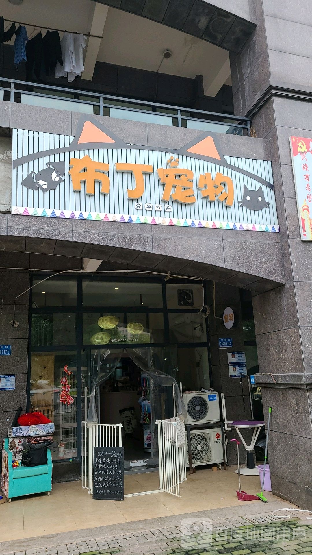 布丁宠物