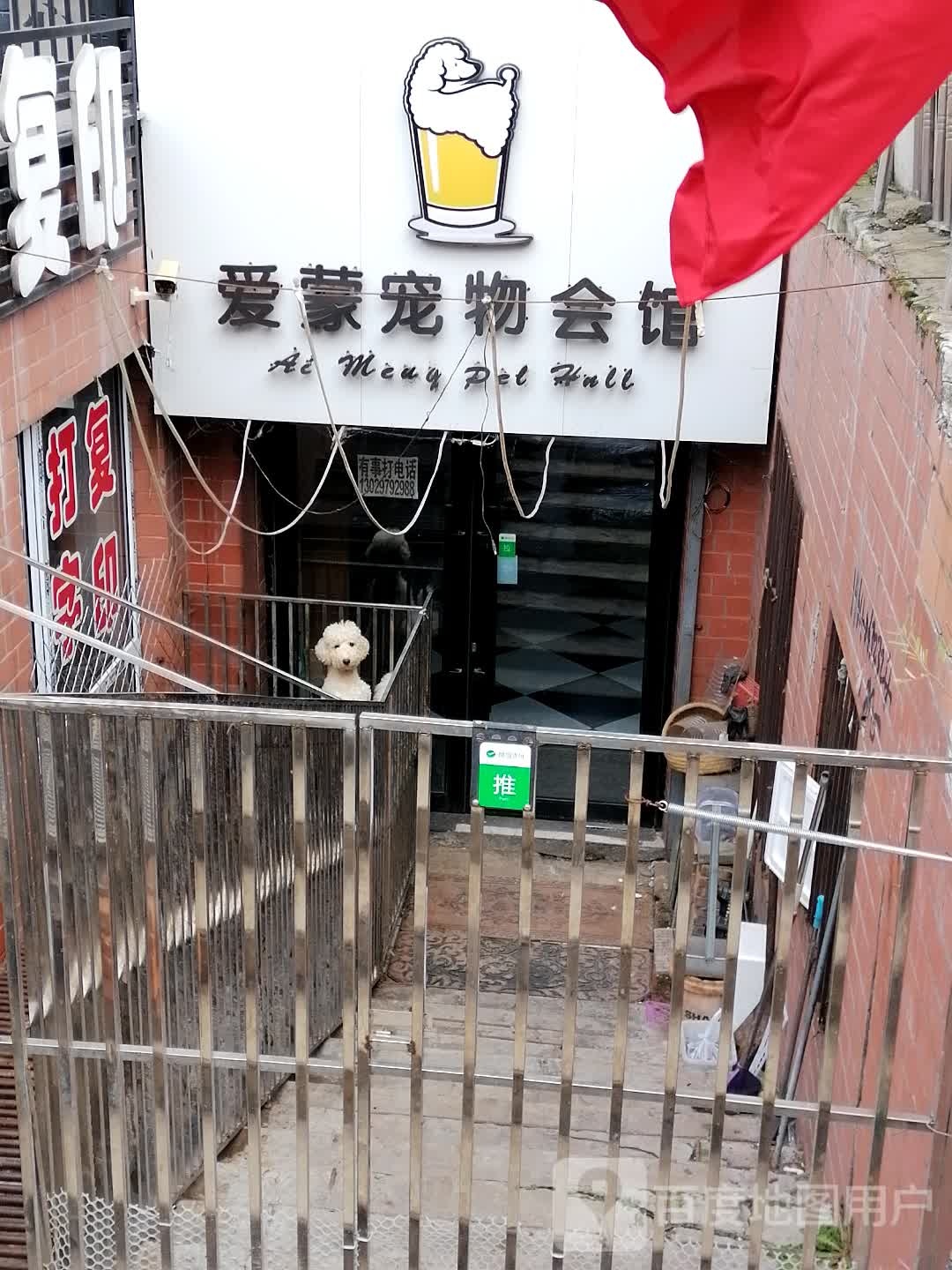 爱蒙宠物会馆