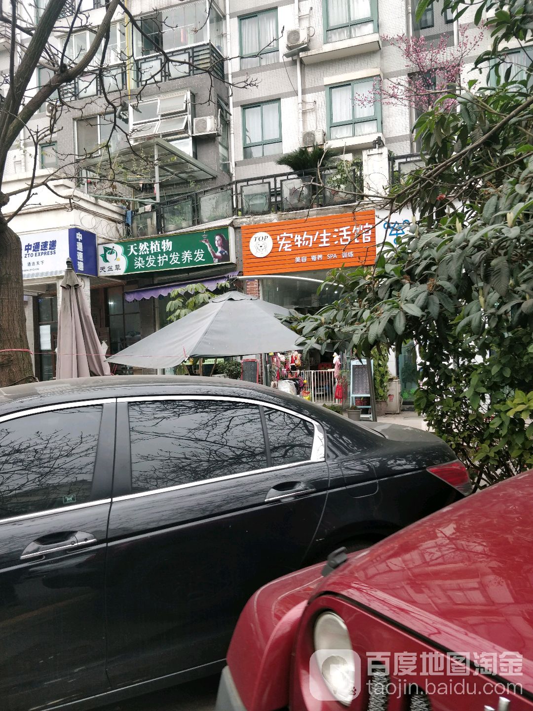 TOP宠物生活馆(金凤路店)
