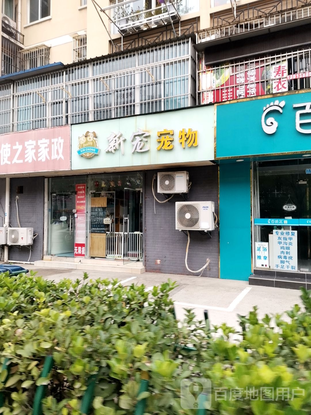 新宠宠物