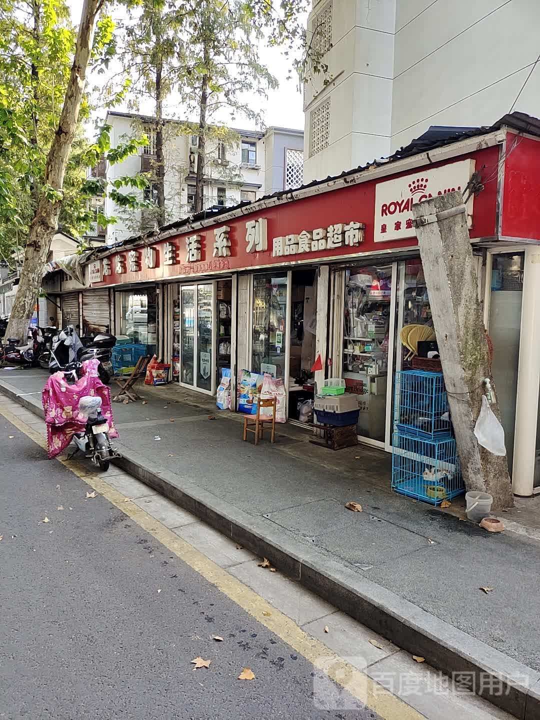 龙龙宠物生活系列用品食品超市